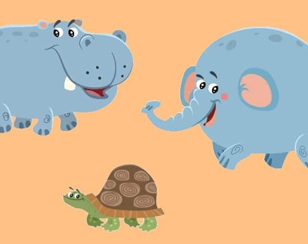 Tortue et éléphant : contes du monde pour enfants